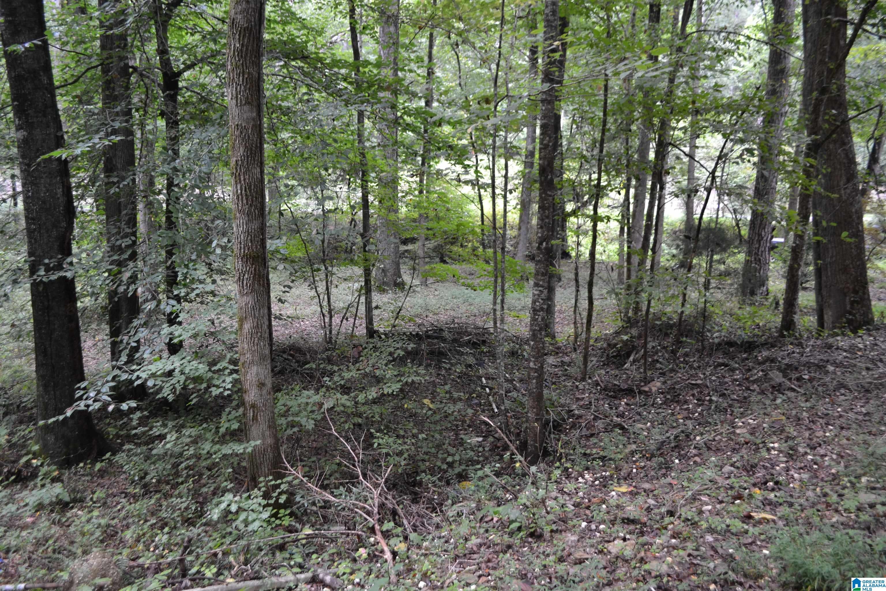 1002 Cheaha Road Munford, AL 36268 - Photo 64 of 76 Gallery Image 64