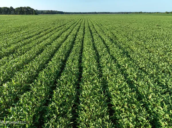 $220,000 | Denton Road, Lambert, MS 38643