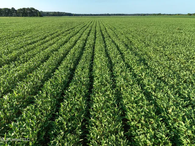 $220,000 | Denton Road, Lambert, MS 38643