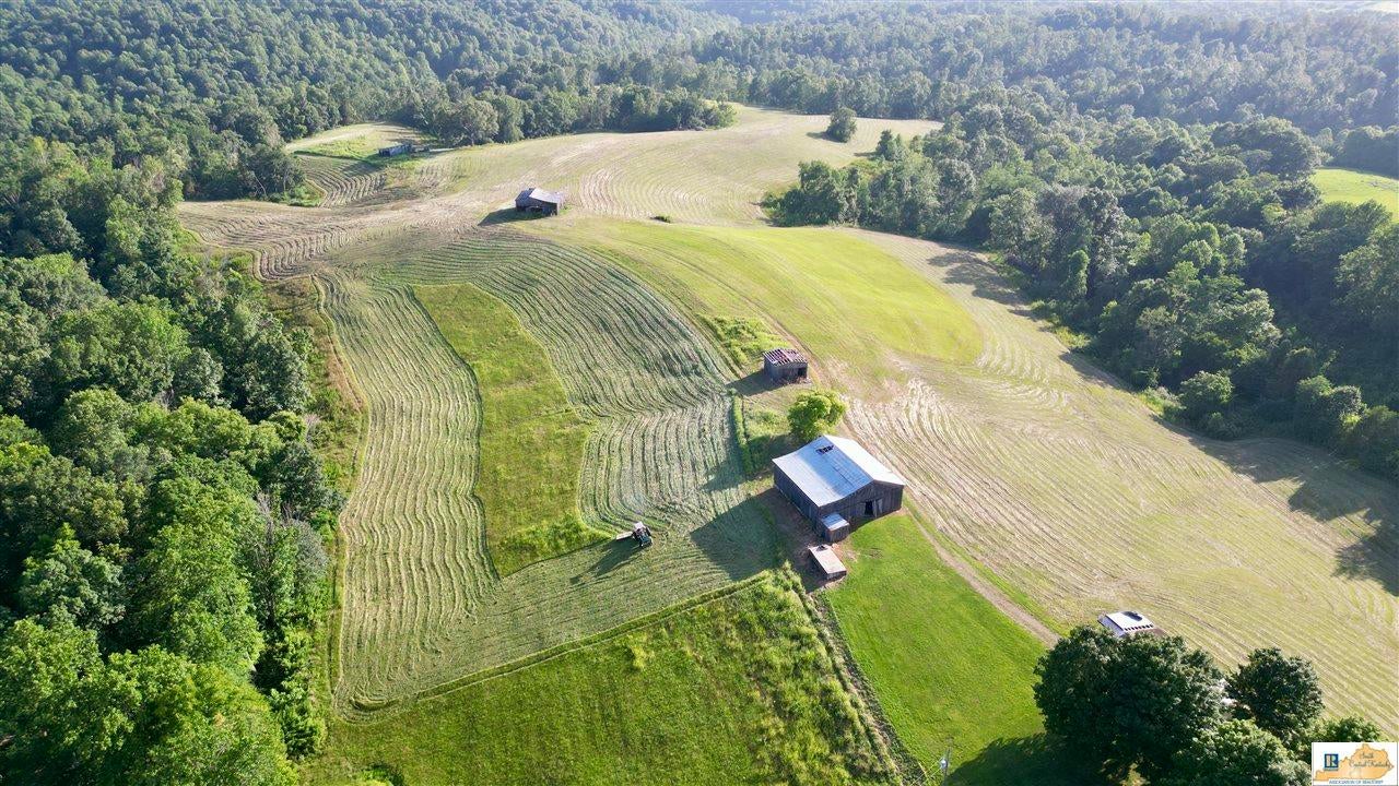 2417 Weed-Keltner Road Edmonton, KY 42129 - Photo 69 of 93 Gallery Image 69