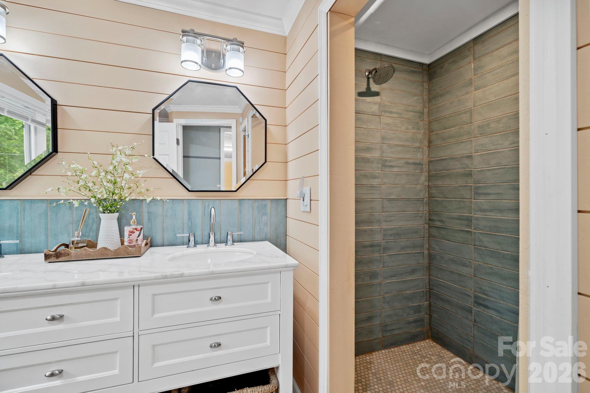 419 East Blue Ridge Road East Flat Rock, NC 28726 - Photo 27 of 44 a bathroom with a sink a vanity and a mirror