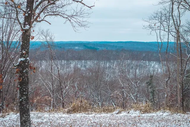 $125,000 | 0 Click, Richwoods, MO 63071