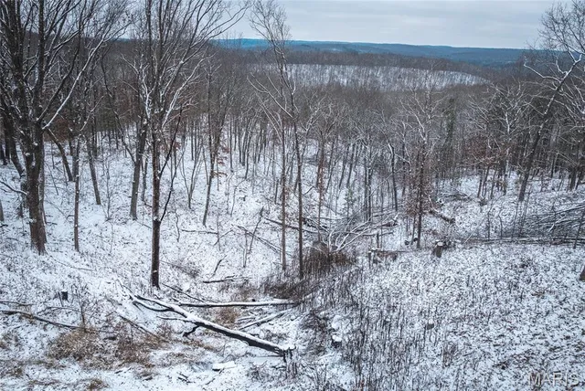 $125,000 | 0 Click, Richwoods, MO 63071