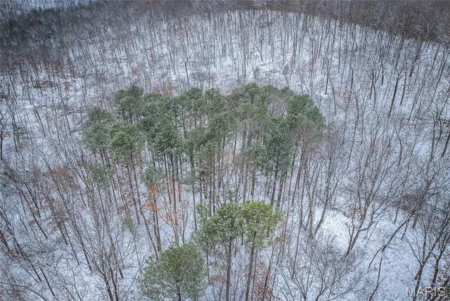 $125,000 | 0 Click, Richwoods, MO 63071