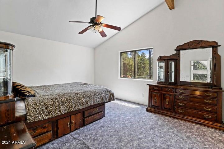 6773 Ridge Road Pine, AZ 85544 - Photo 17 of 28 17