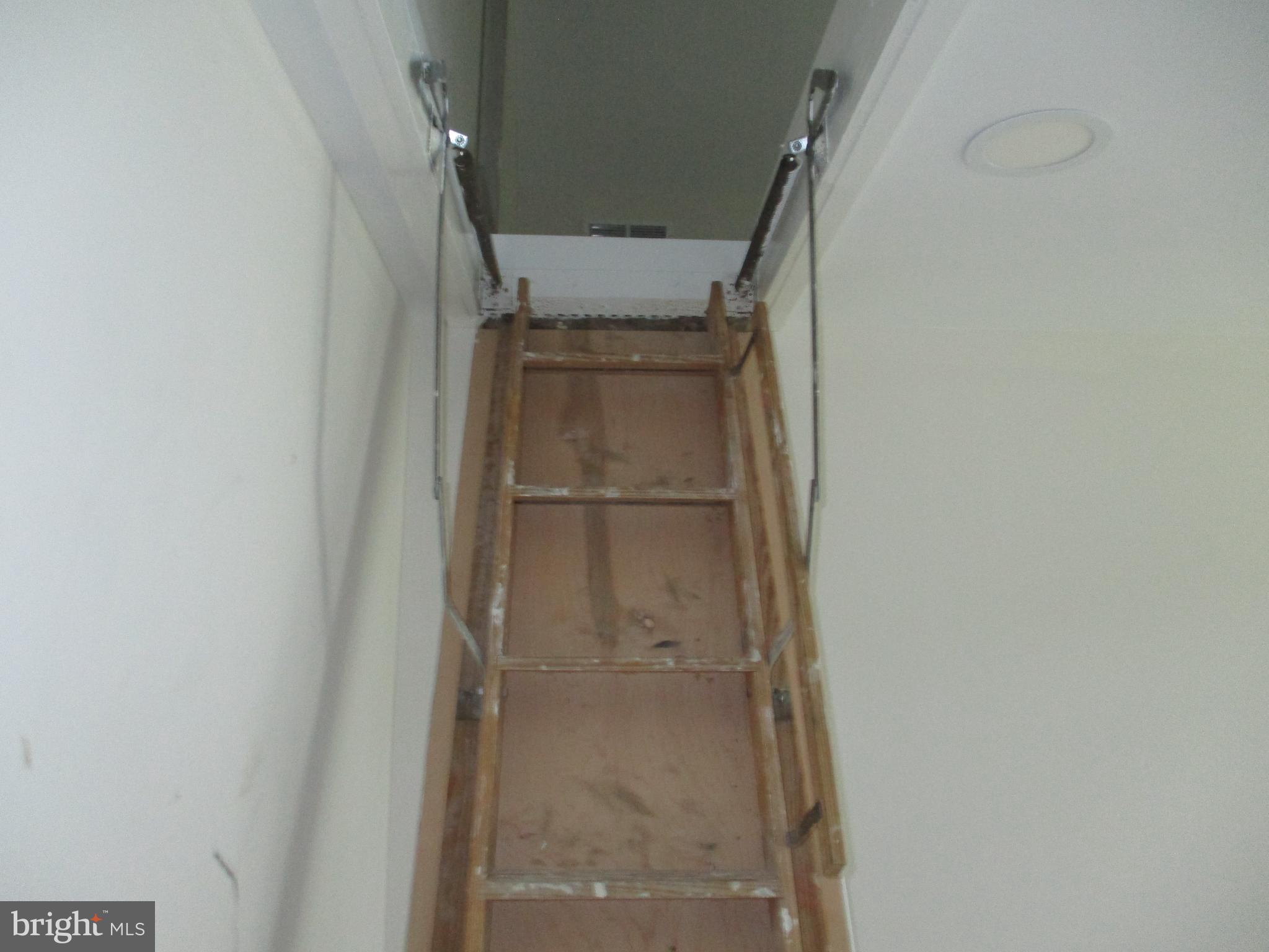 4539 Houston Branch Road Federalsburg, MD 21632 - Photo 6 of 6 Gallery Image 6