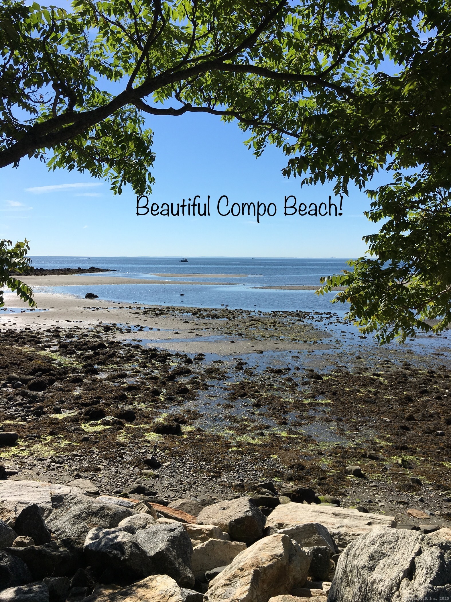 6 Stony Point Road Westport, CT 06880 - Photo 13 of 19 Beautiful Compo Beach!