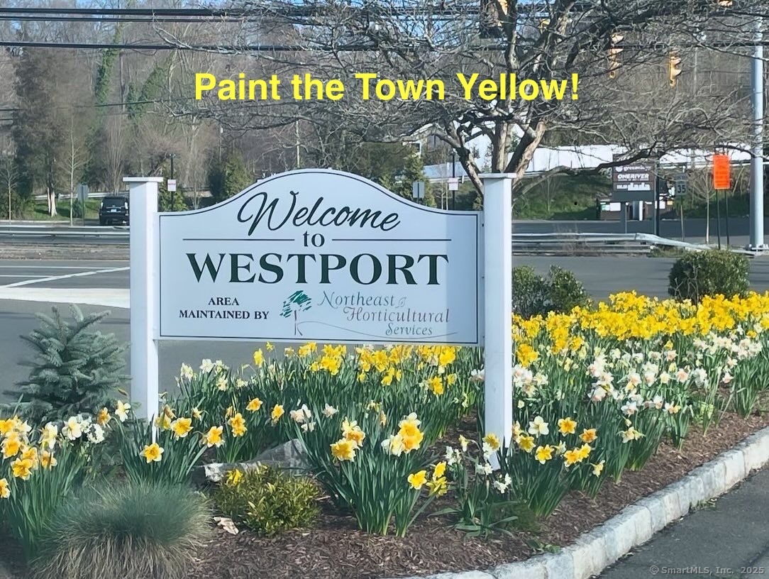 6 Stony Point Road Westport, CT 06880 - Photo 19 of 19 Paint the Town Yellow! A yearly community wide event where residents plant daffodils all over the town!