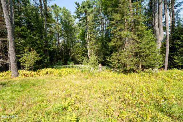 $115,000 | 179 Bear Creek Road, Hope, NY 12134