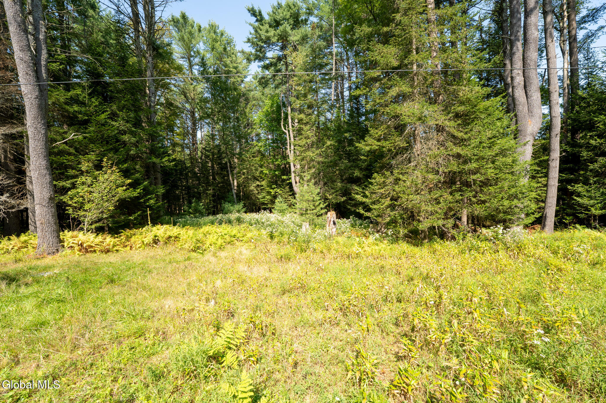 179 Bear Creek Road Hope, NY 12134 - Photo 15 of 16 179 Bear Creek-18