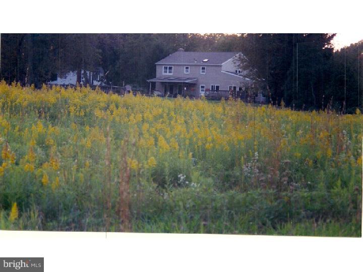 626 White Road Blue Bell, PA 19422 - Photo 23 of 25 Gallery Image 23