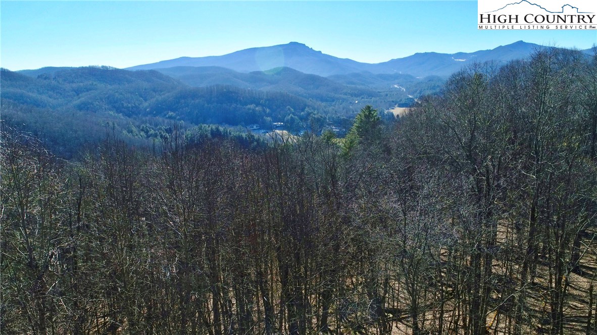 320 Rhododendron Lane Boone, NC 28607 - Photo 1 of 14 Gallery Image 1