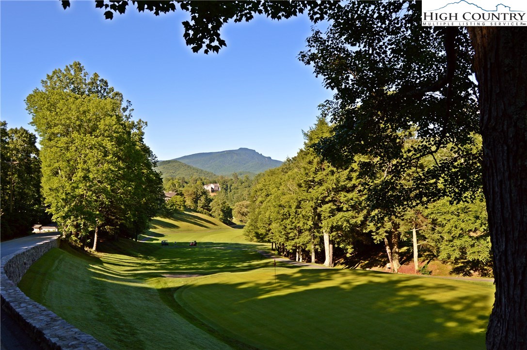 320 Rhododendron Lane Boone, NC 28607 - Photo 13 of 14 Gallery Image 13