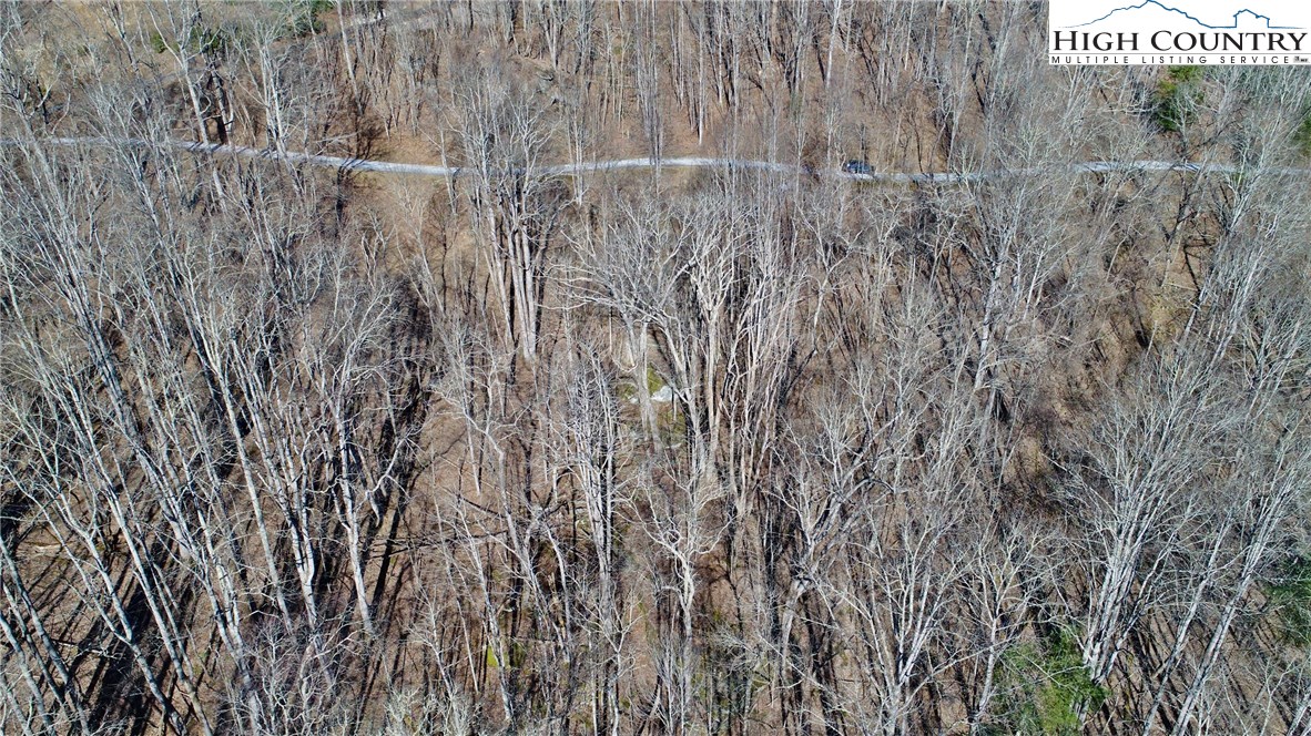 320 Rhododendron Lane Boone, NC 28607 - Photo 4 of 14 Gallery Image 4