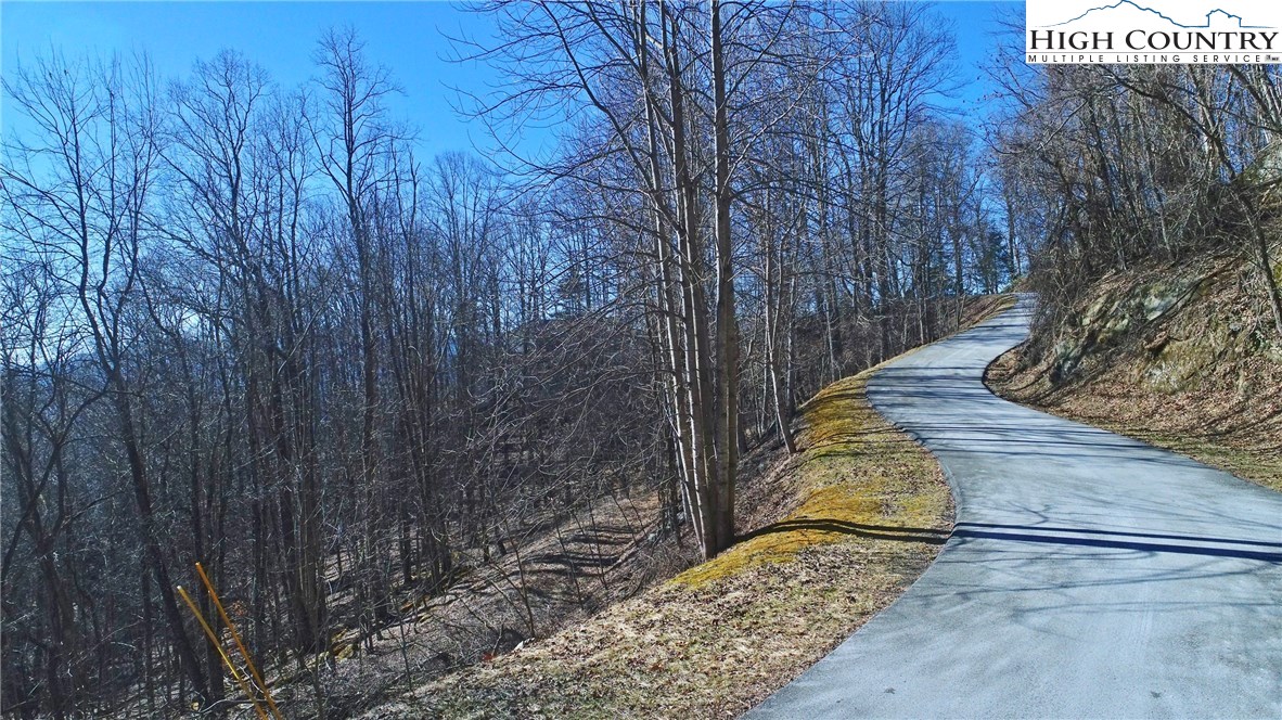 320 Rhododendron Lane Boone, NC 28607 - Photo 7 of 14 Gallery Image 7