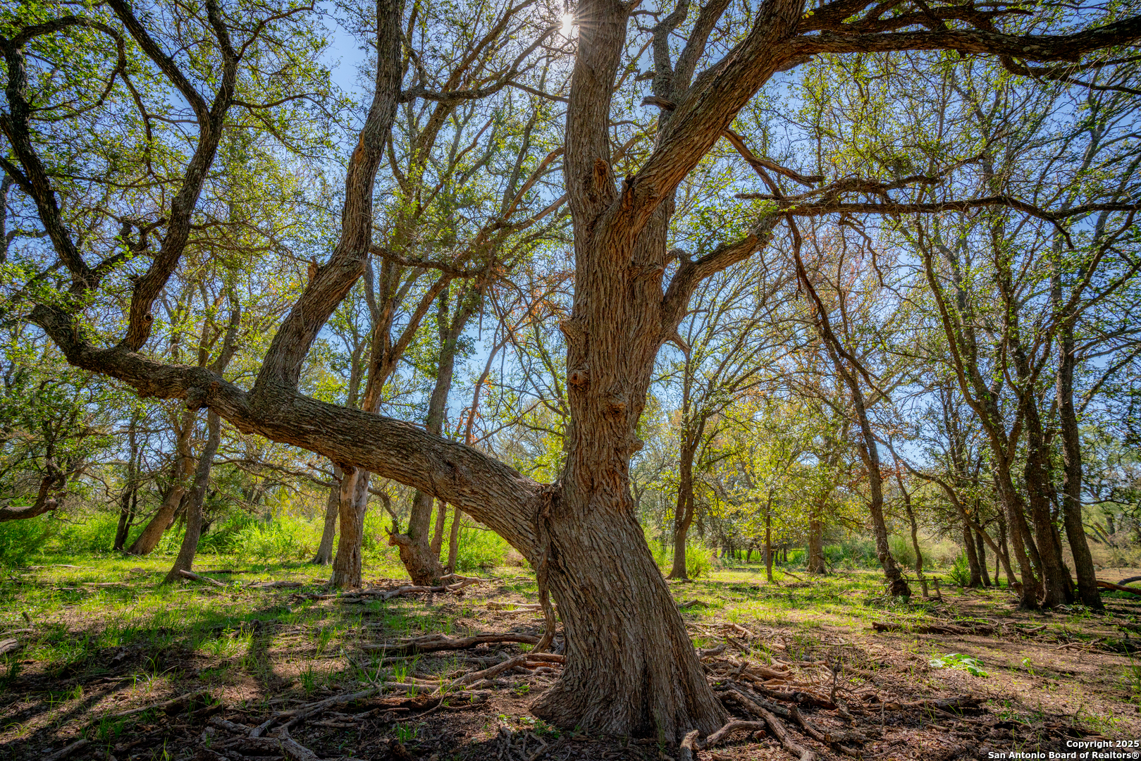 a view of an outdoor space with a lake view