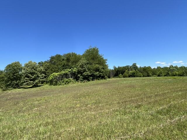 362 Cullen Savage Road Palmer, TN 37365 - Photo 55 of 76 IMG_7192