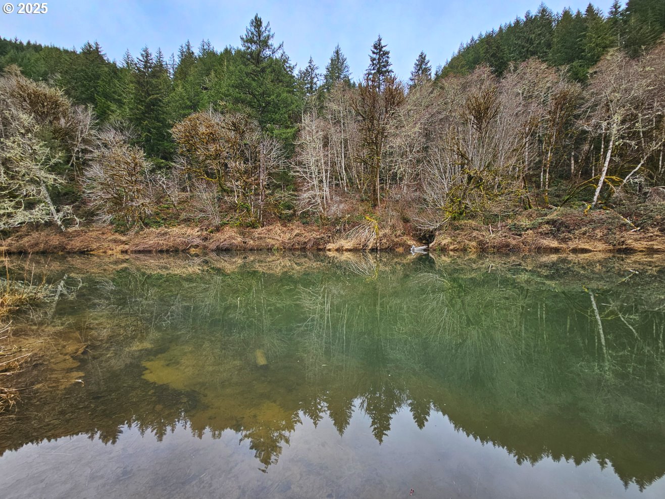 17834 Lower Smith River Road Reedsport, OR 97467 - Photo 8 of 14 a view of lake