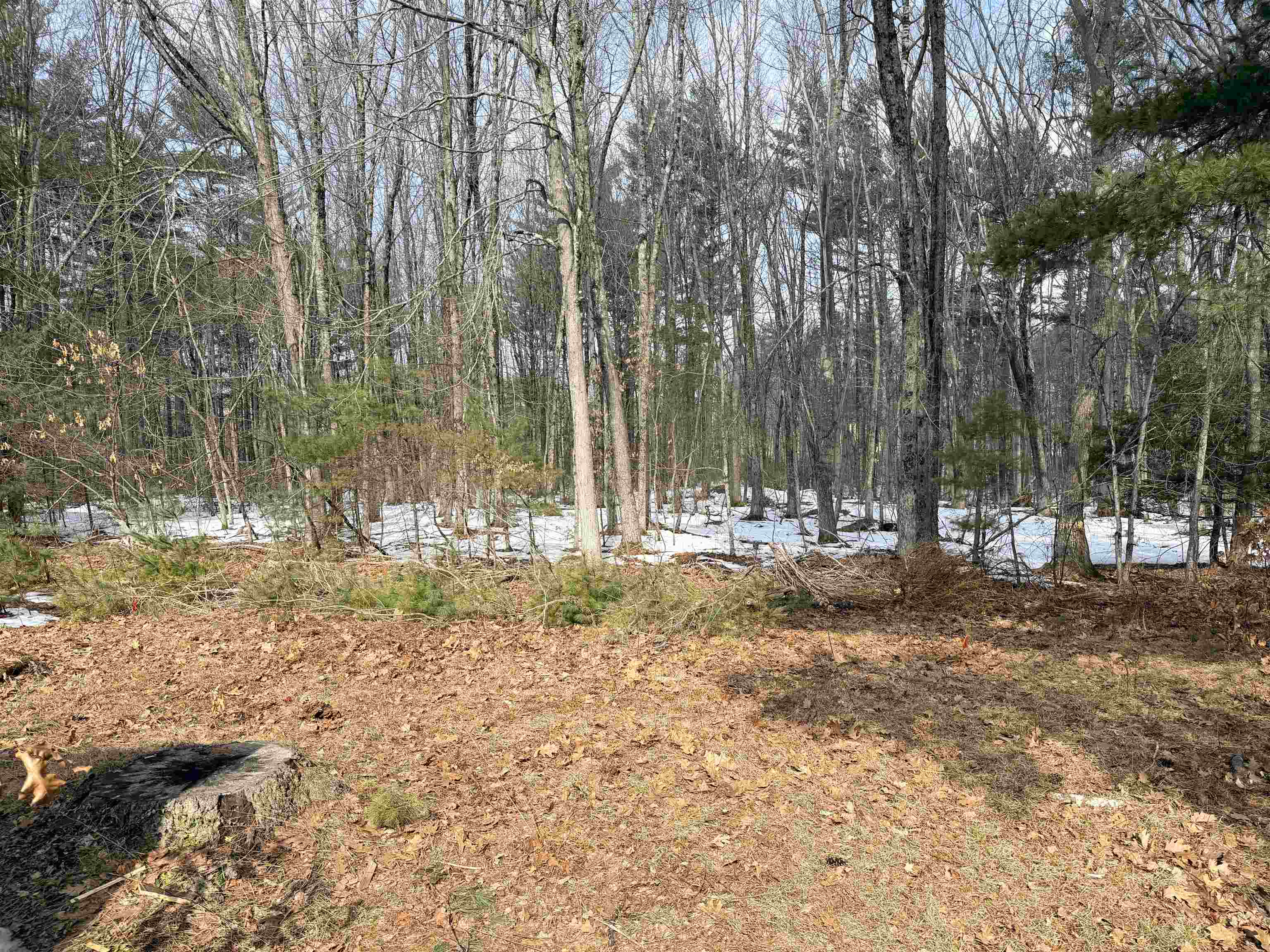 52 Crosswind Lane Rochester, NH 03867 - Photo 6 of 24 Gallery Image 6