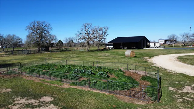 a view of a garden with large trees