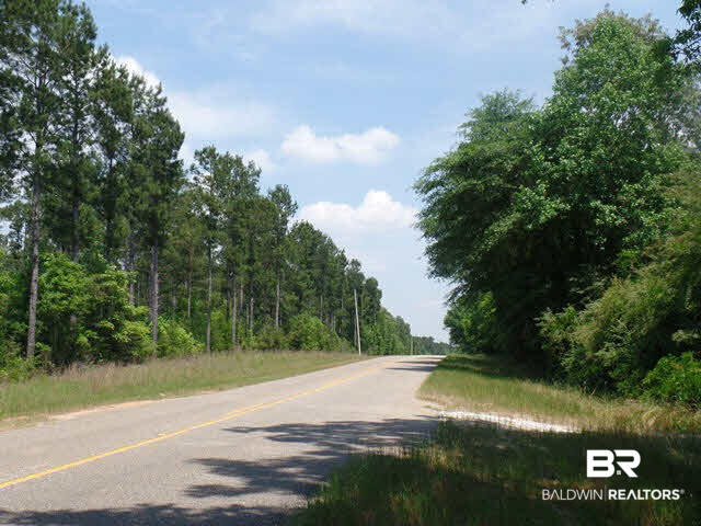 500 County Road 462 Kinston, AL 36453 - Photo 20 of 25