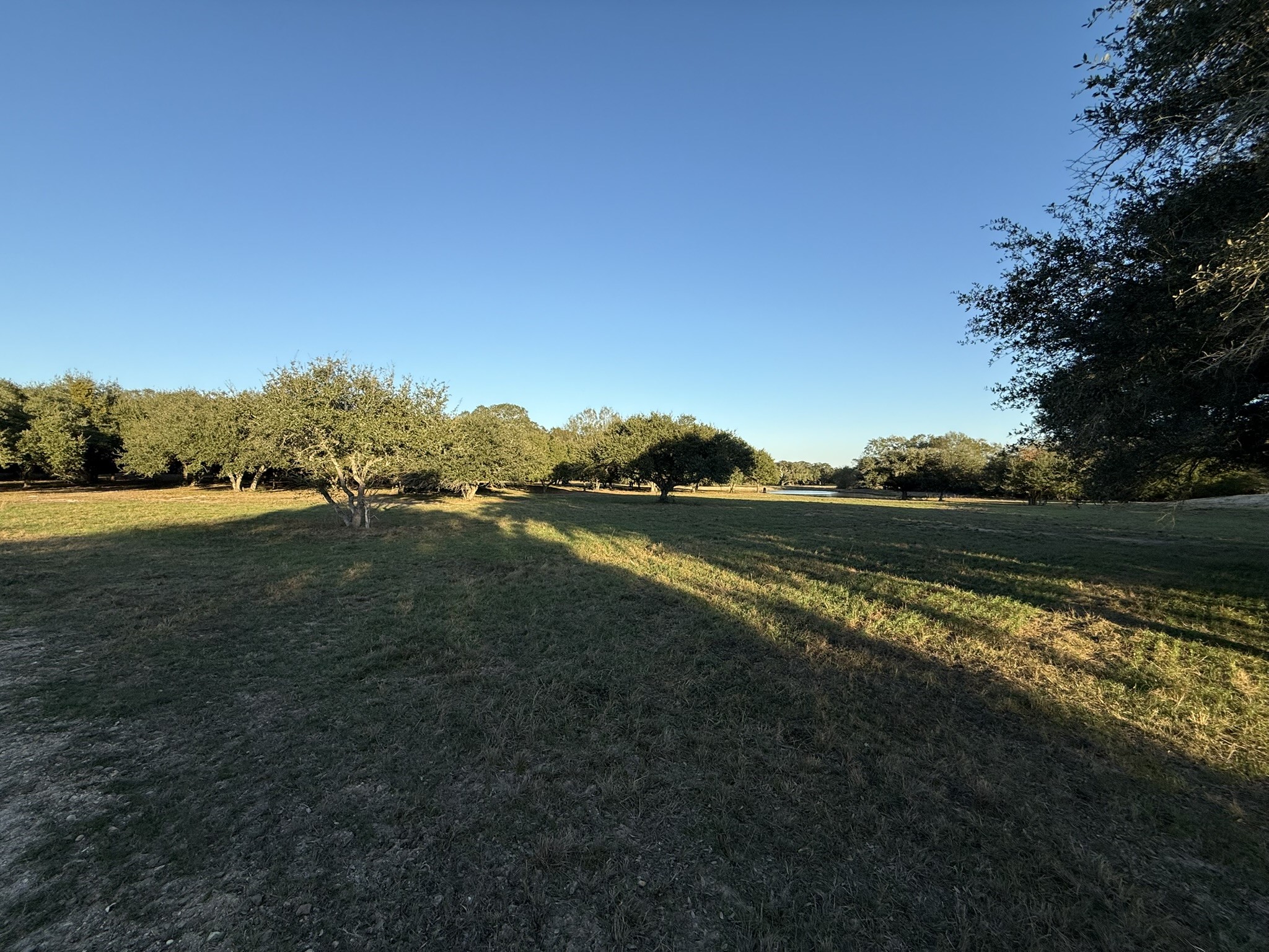 Tbd Rubin Lee Road Cat Spring, TX 78933 - Photo 19 of 47 a view of lake with green space