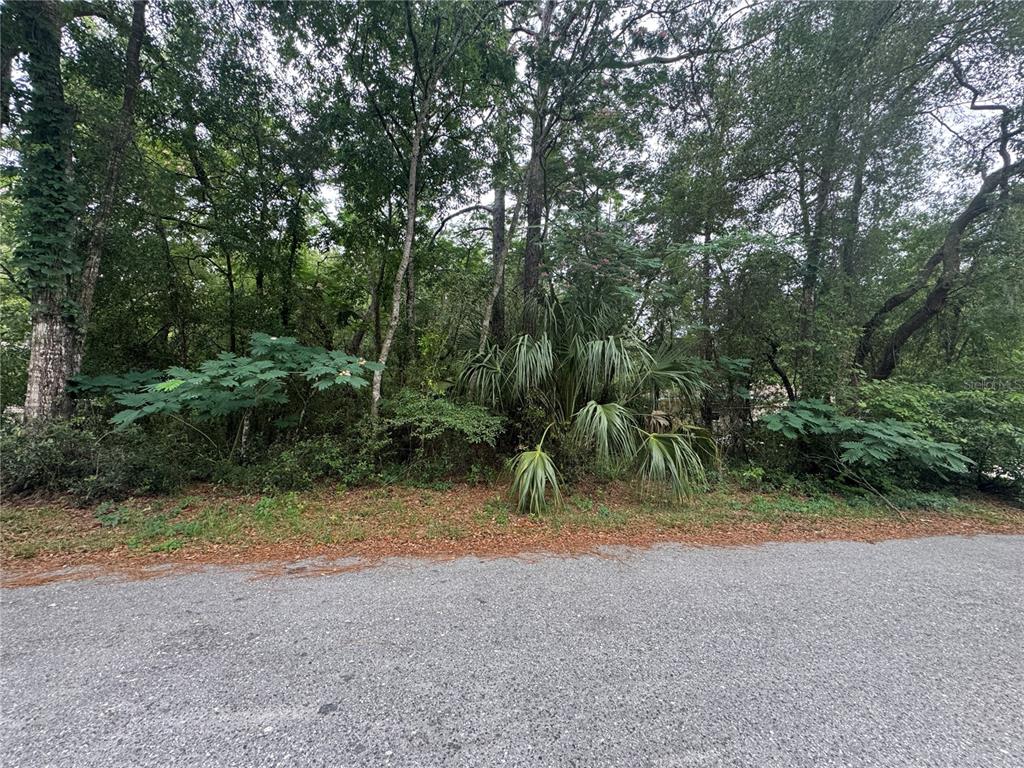 3462 East Michael Street Inverness, FL 34453 - Photo 1 of 5