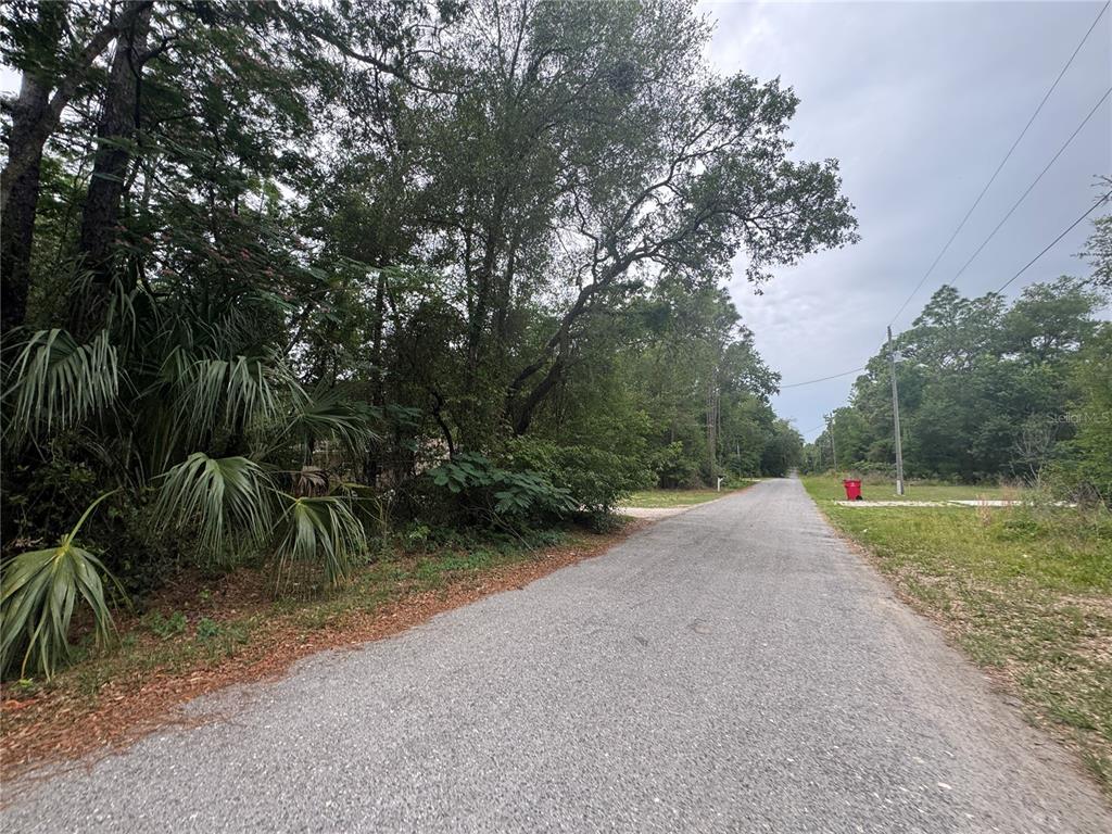 3462 East Michael Street Inverness, FL 34453 - Photo 3 of 5