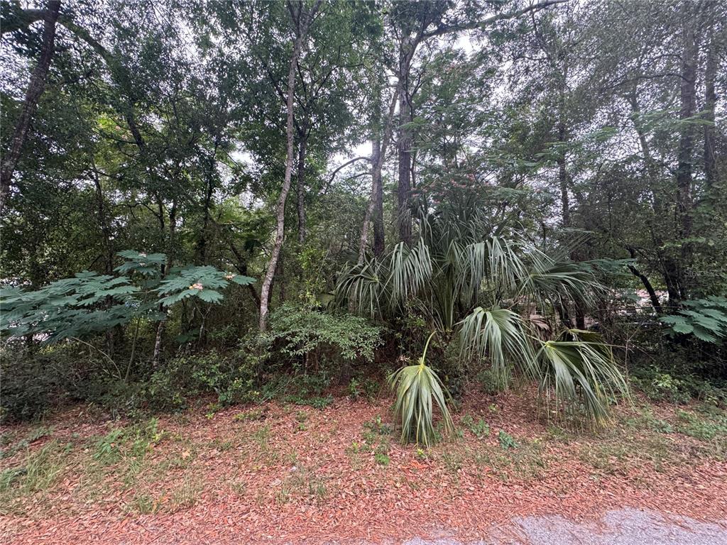 3462 East Michael Street Inverness, FL 34453 - Photo 4 of 5