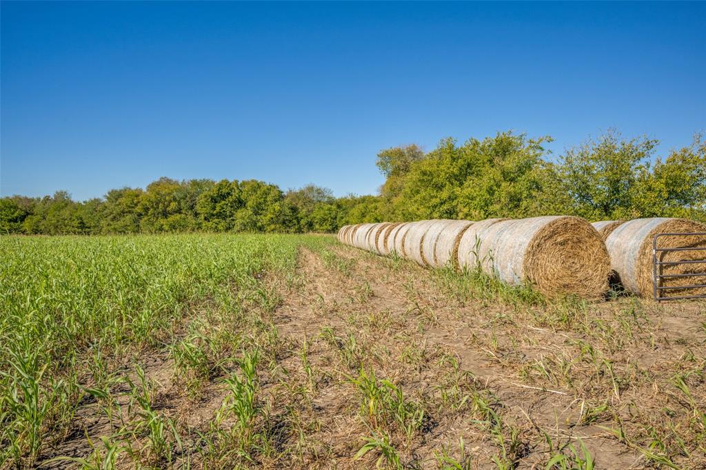 0 View Road Sanger, TX 76266 - Photo 8 of 8