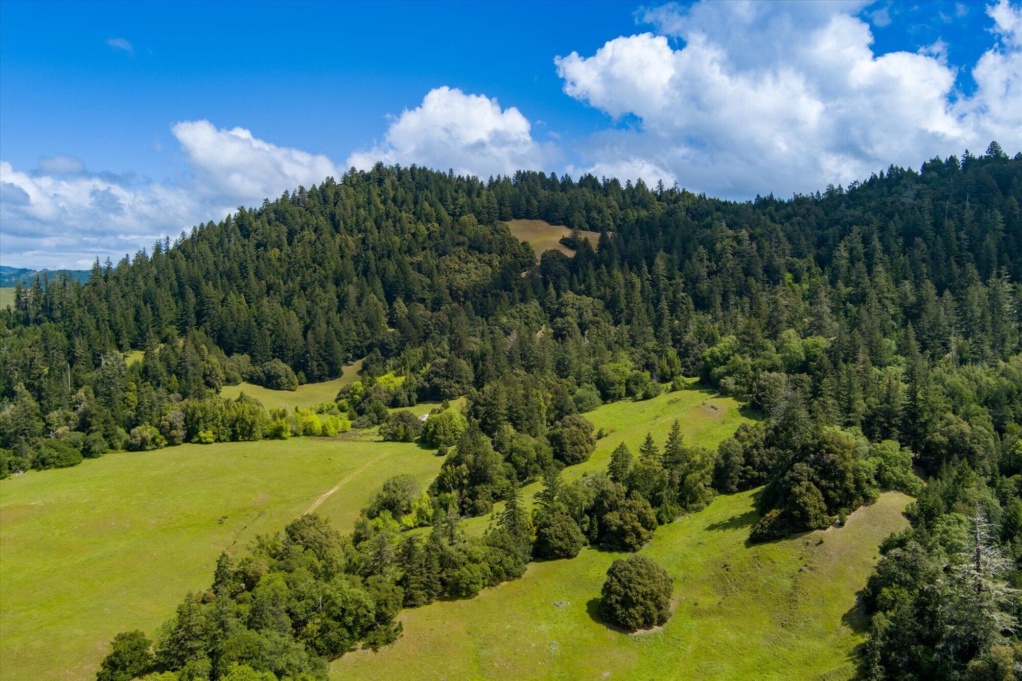 0 Reed Mountain Road Garberville, CA 95542 - Photo 1 of 19