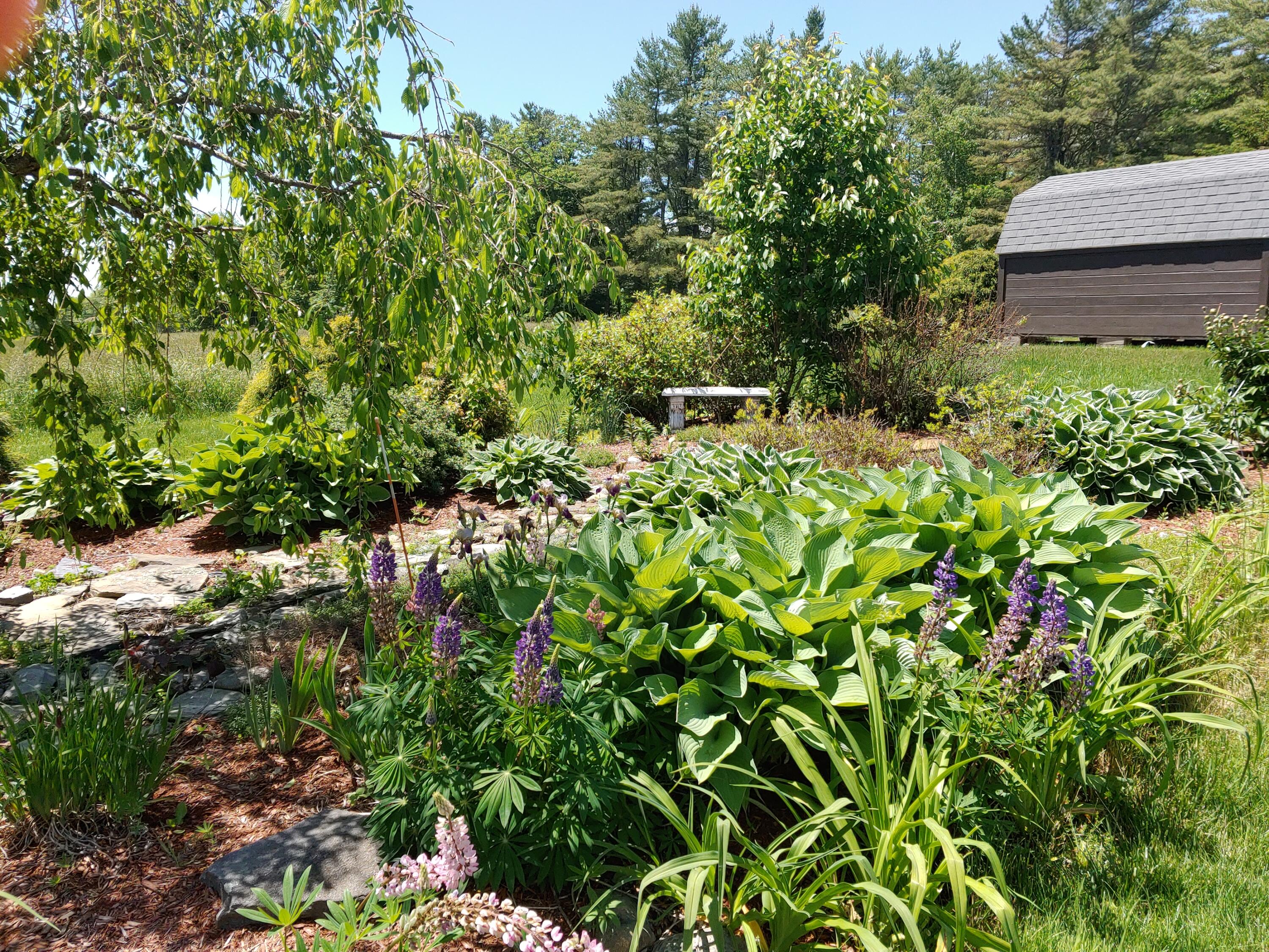 317 North Clary Road Jefferson, ME 04348 - Photo 43 of 56 2