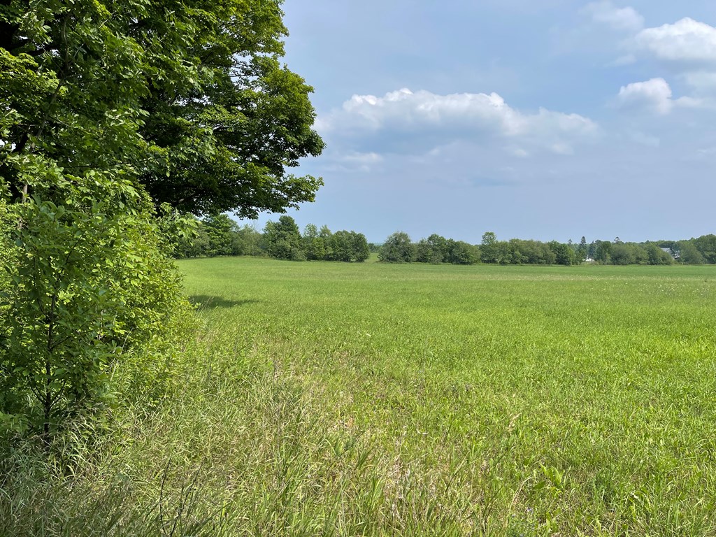 Tbd Fairview Road Baileys Harbor, WI 54202 - Photo 6 of 8