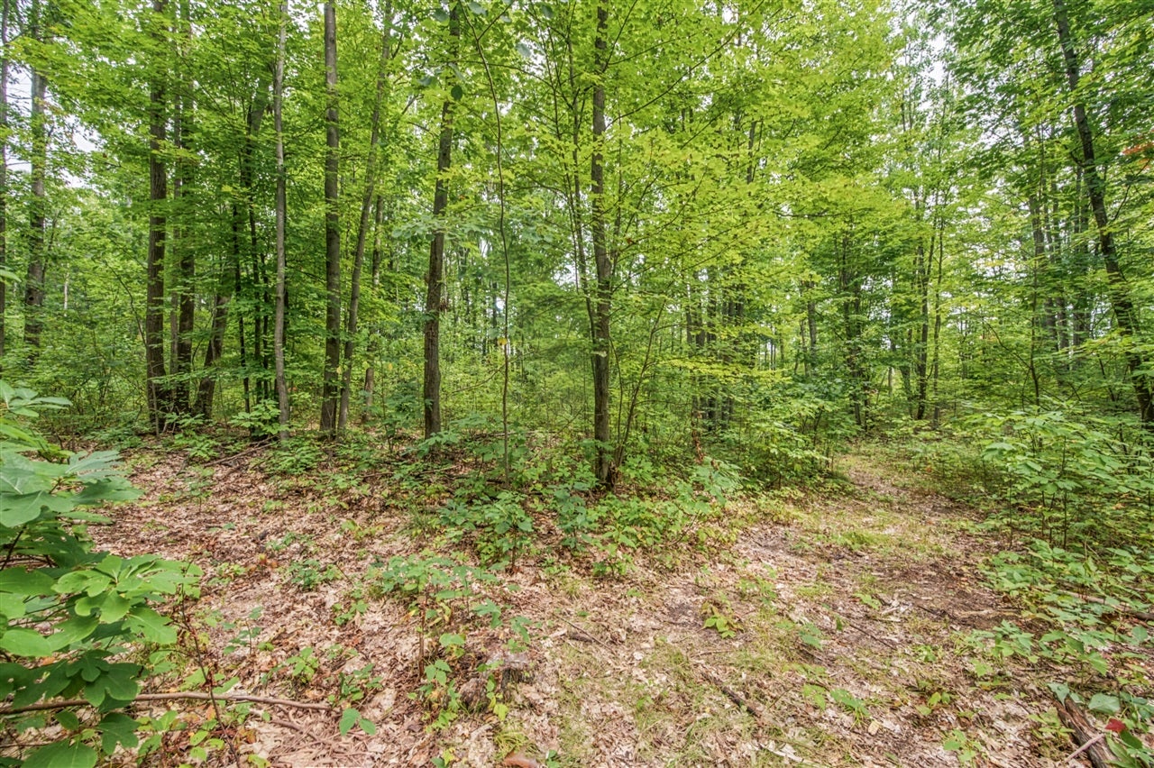 5 8 Mile Road Remus, MI 49340 - Photo 6 of 17 Gallery Image 6