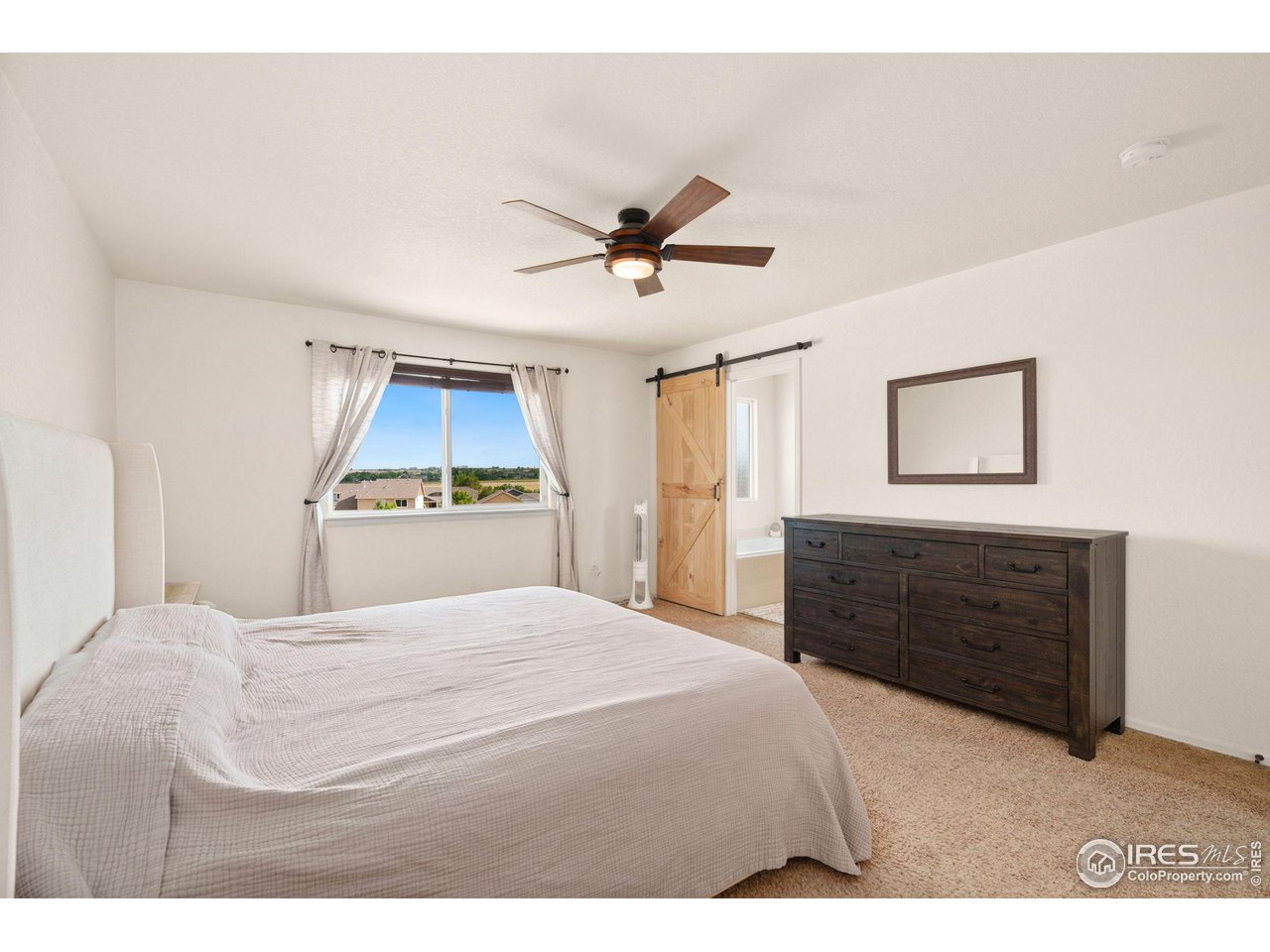 7808 West 11th St Road Greeley, CO 80634 - Photo 14 of 25 Primary bedroom with barn door