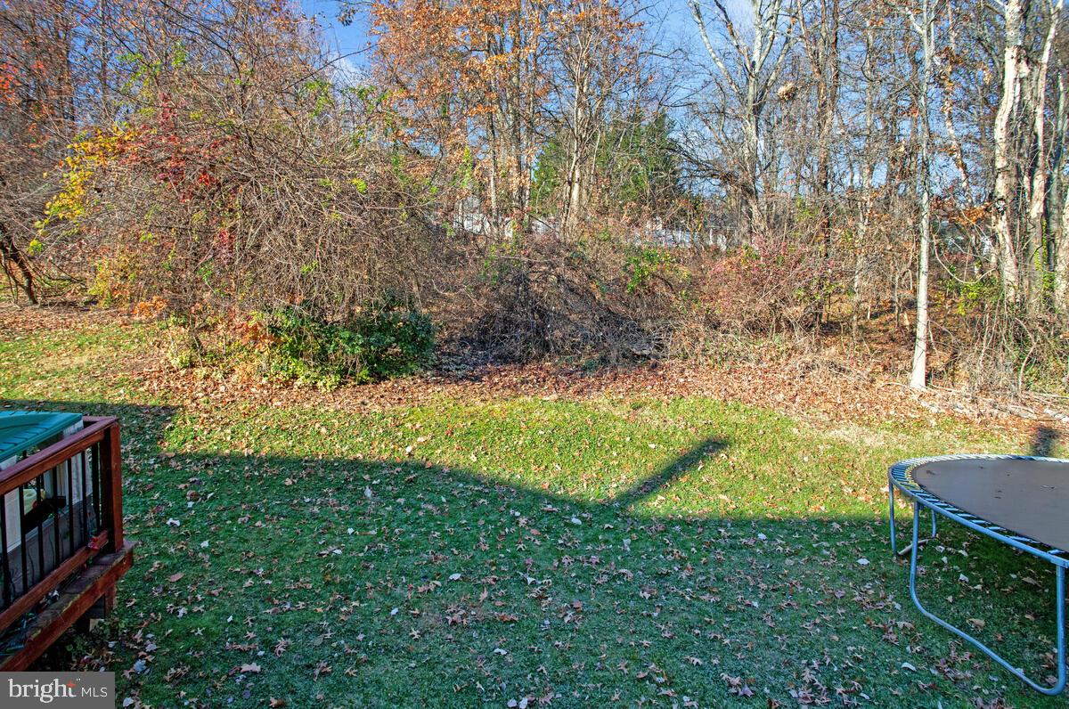4 Offspring Court Perry Hall, MD 21128 - Photo 34 of 38 a view of backyard with green space