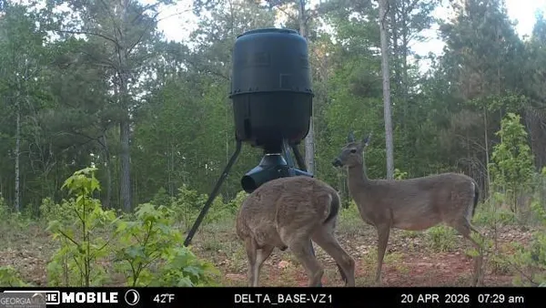 $179,000 | 19.74-acres Davis Lake Road, Pine Mountain, GA 31822