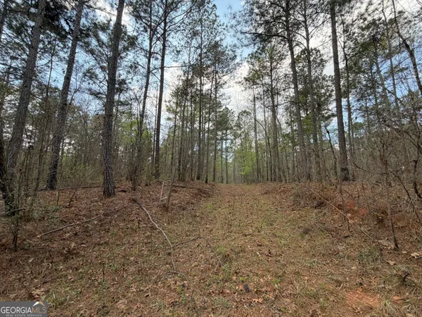 $179,000 | 19.74-acres Davis Lake Road, Pine Mountain, GA 31822