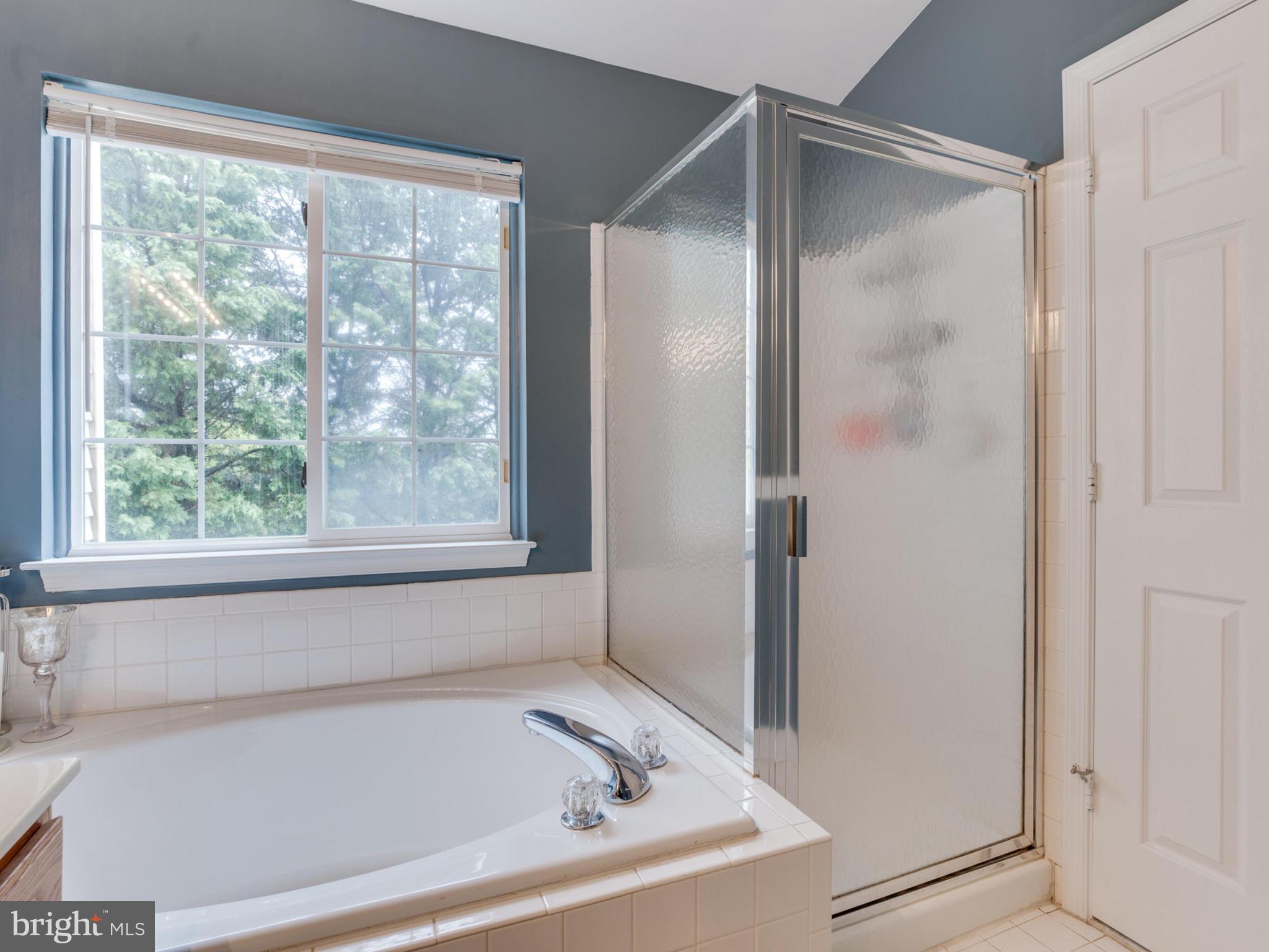 2829 Roesh Way Vienna, VA 22181 - Photo 20 of 30 Bath (Master)