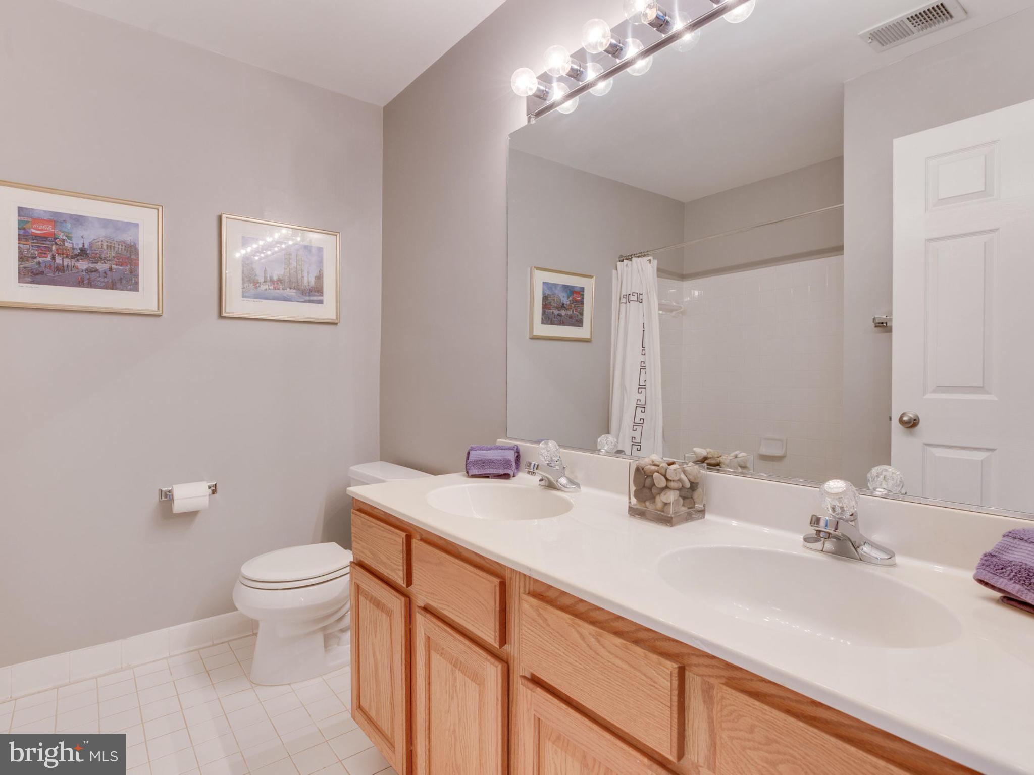2829 Roesh Way Vienna, VA 22181 - Photo 23 of 30 Bath