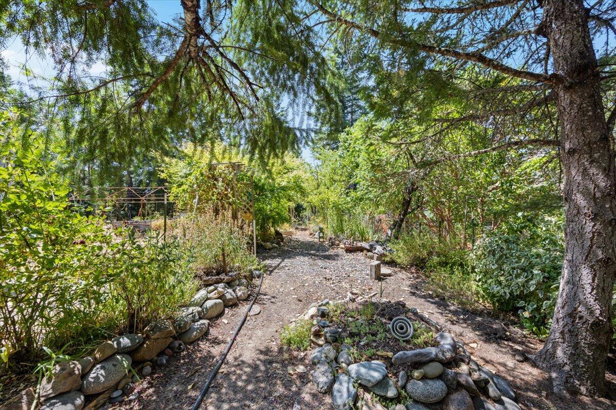 197 Gold Canyon Road Selma, OR 97538 - Photo 5 of 22 Garden area #2