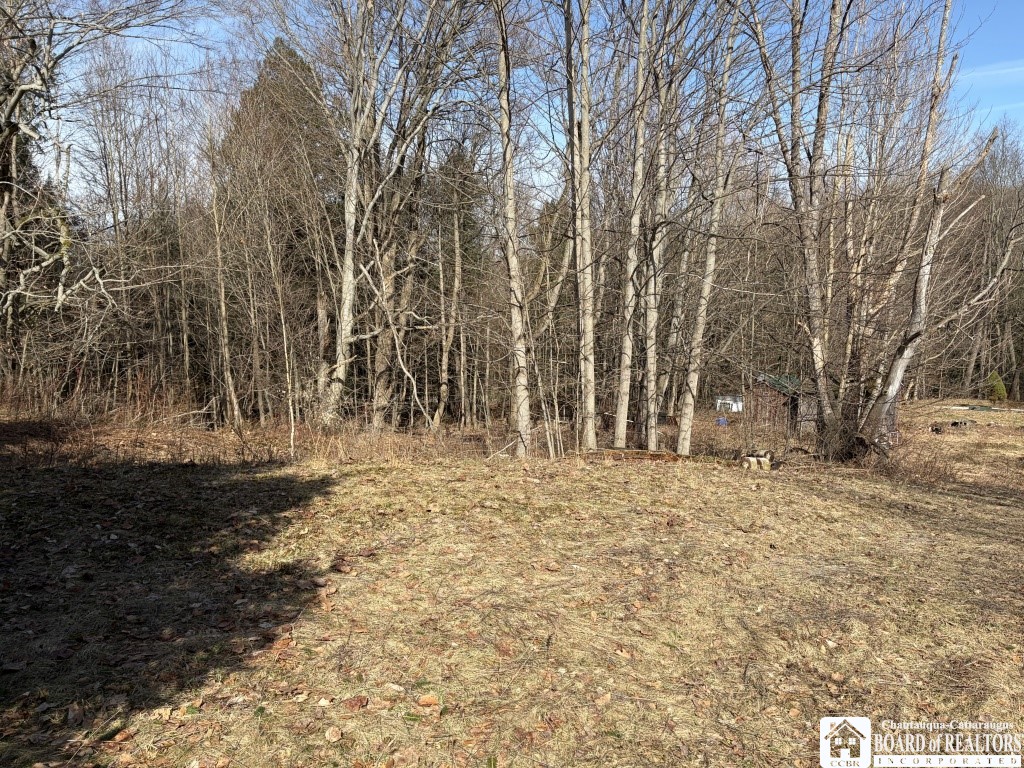 1784 Emory Hill Road Frewsburg, NY 14738 - Photo 4 of 34