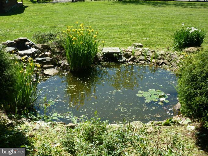 23183 Cobb House Road Middleburg, VA 20117 - Photo 18 of 21 Fish Pond