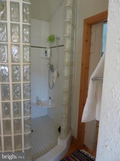 23183 Cobb House Road Middleburg, VA 20117 - Photo 3 of 21 block shower