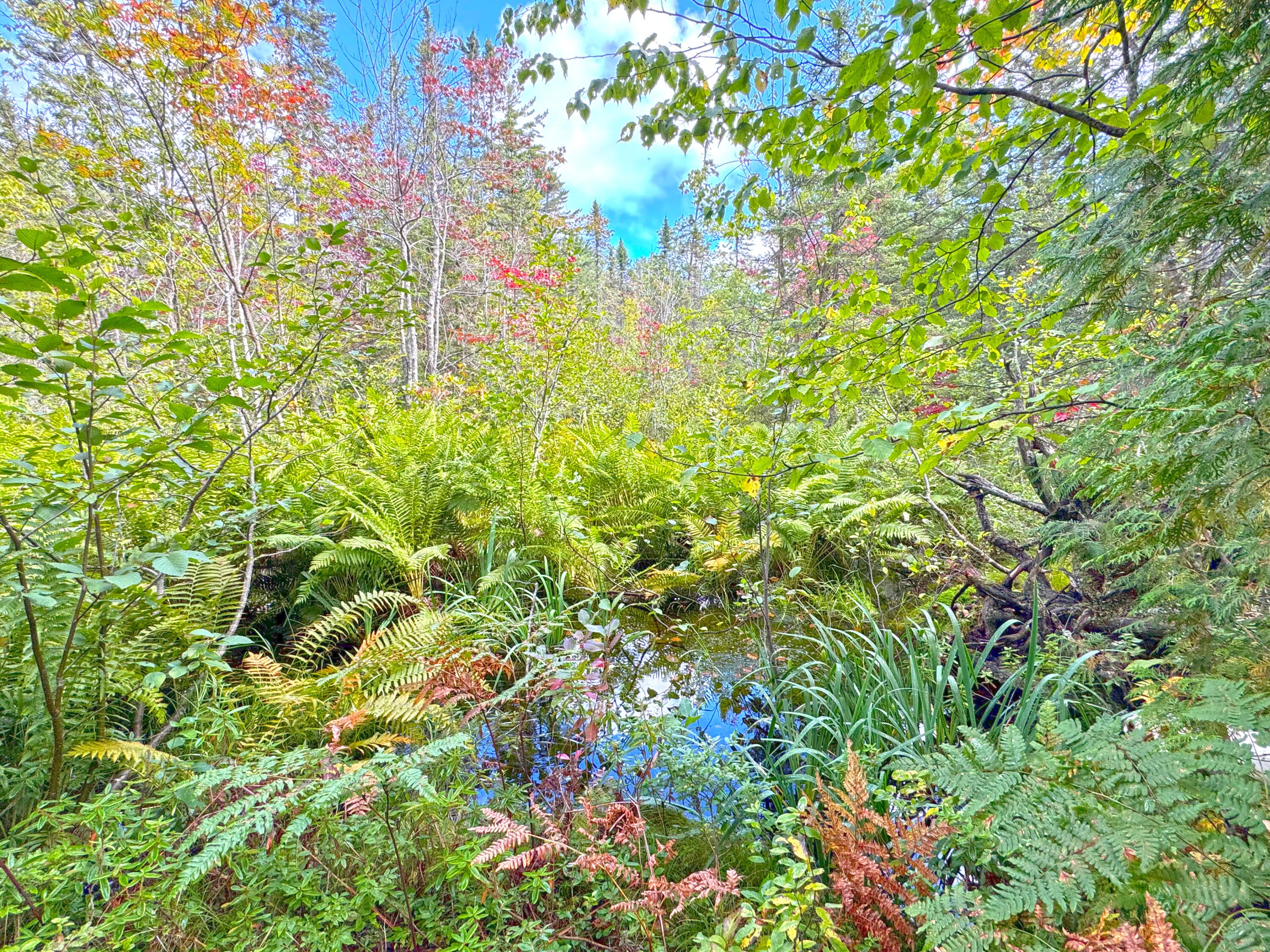 14599 North Whitefish Point Road Paradise, MI 49768 - Photo 8 of 14 Gallery Image 8