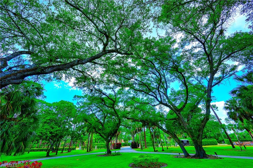 2760 70th Street Southwest Naples, FL 34105 - Photo 29 of 46 From Front door out to the Street