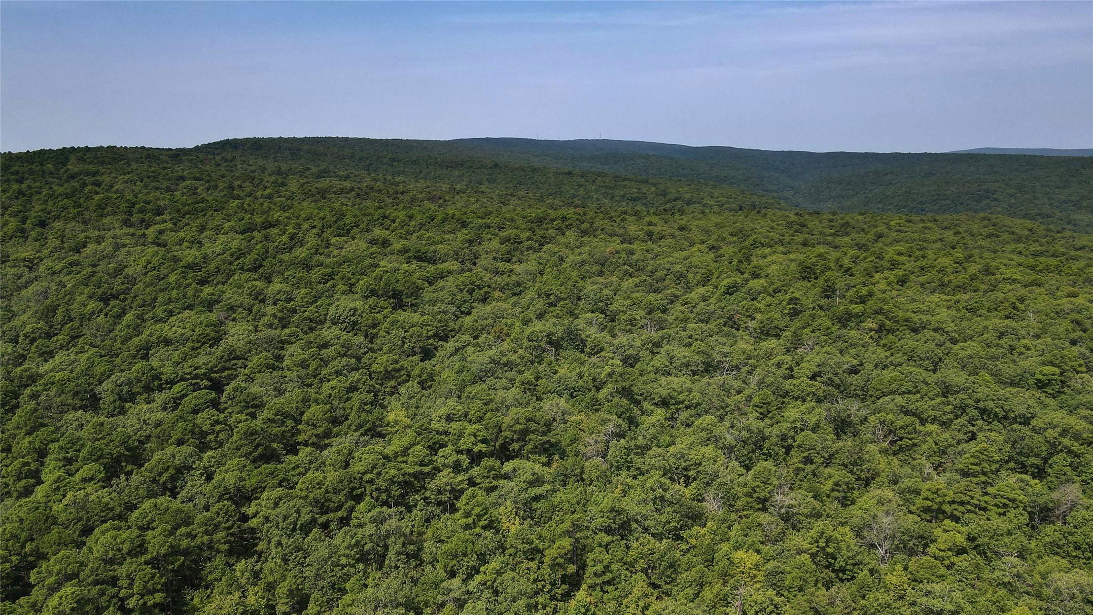 Buffalo Mountain Road Talihina, OK 74571 - Photo 23 of 25 Expansive wooded terrain featuring a dense canopy of mature trees under a clear sky