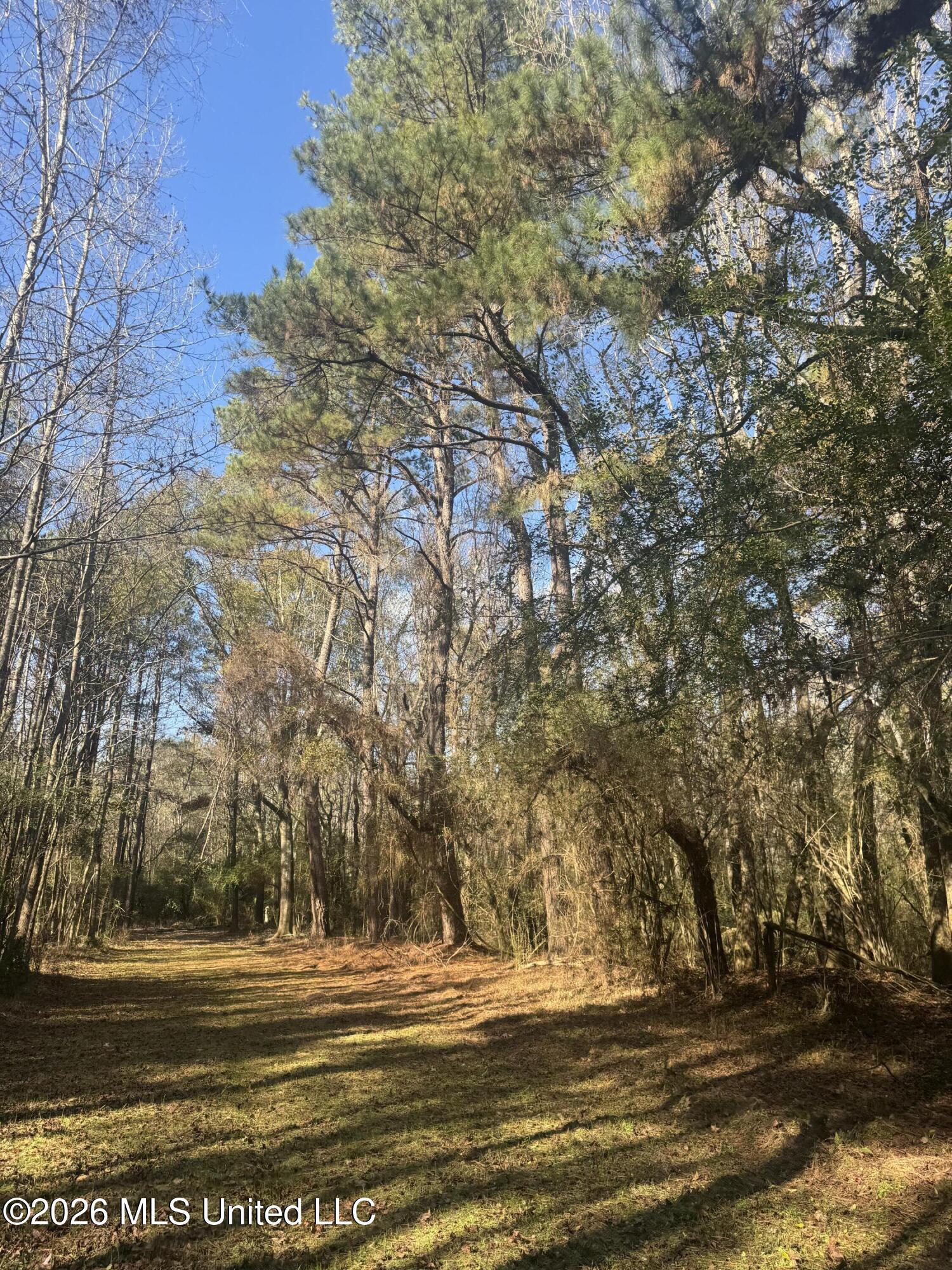 Mckenzie Road Tylertown, MS 39667 - Photo 45 of 50 45