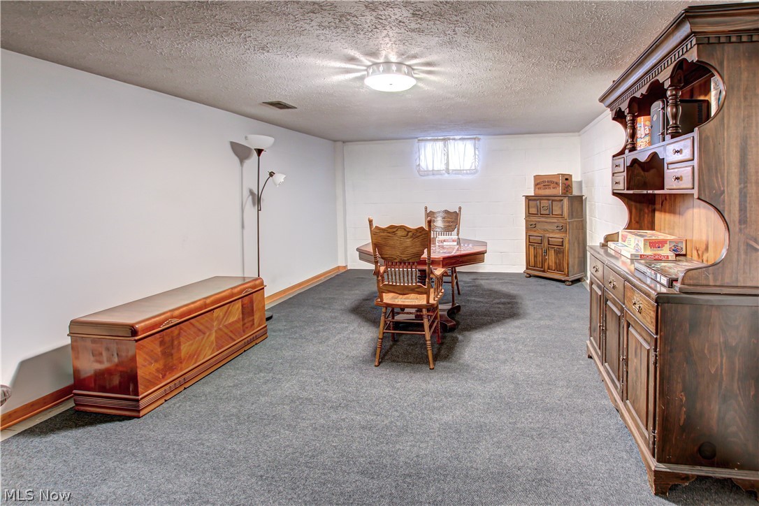 39974 Butternut Ridge Road Elyria, OH 44035 - Photo 29 of 40 Recreation room featuring dark colored carpet and a textured ceiling