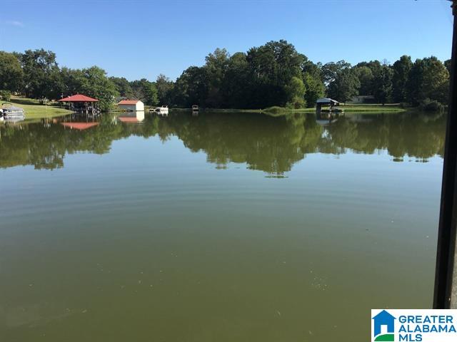 2310 Blue Springs Road, Unit 68 ACRES Cropwell, AL 35054 - Photo 1 of 1